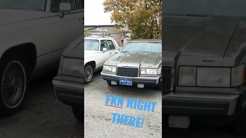 Some Oldies Budďay #sfmcollective #shorts #cars #classic #mustang #bmw #chevrolet