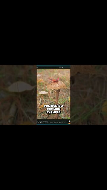 Unbreakable Bonds Navigating Differences in Marriage for a Stronger Union