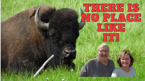 Yellowstone, there is no place like it!