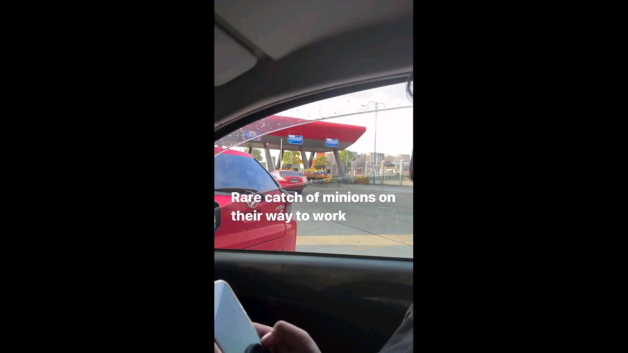 Rare clip of minions