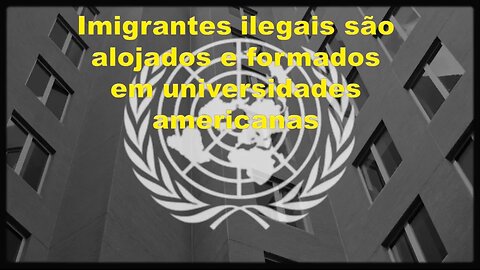 Imigrantes ilegais são alojados e formados em universidades americanas