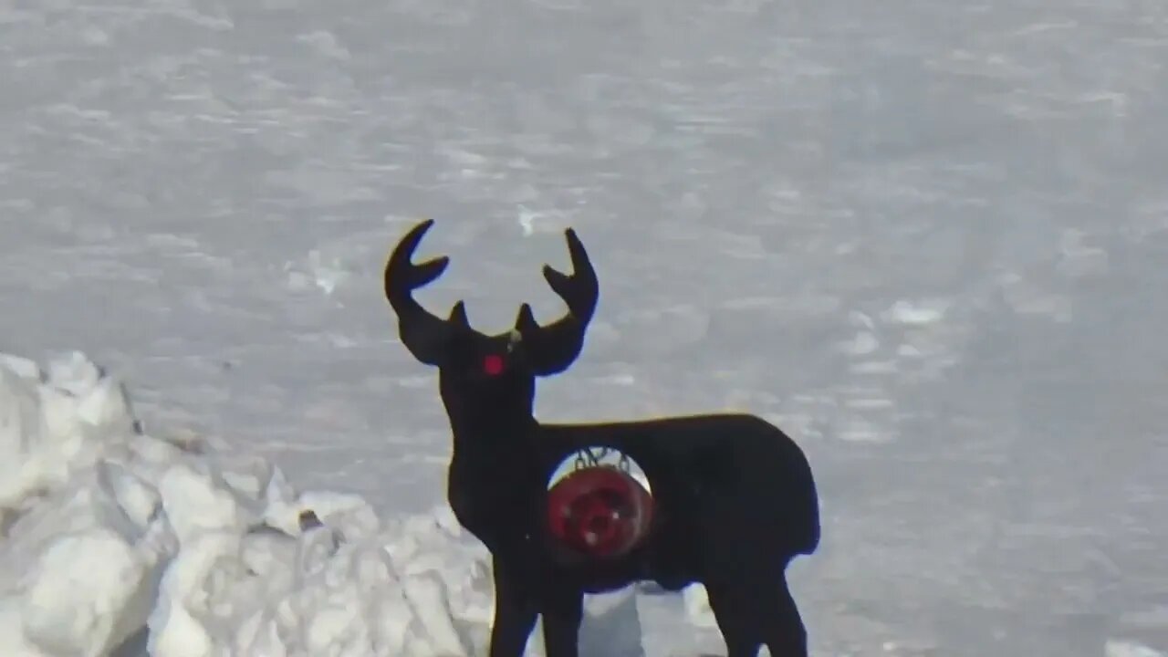 Can a .338 Lapua Mag be an effective home defense gun? 1:40 video length, you can do it!!!