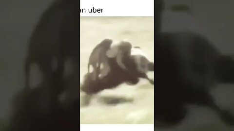 African Uber