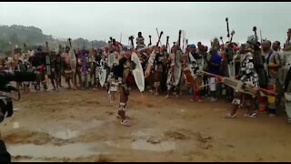 SOUTH AFRICA - Durban - Zulu Wedding (video) (hfL)