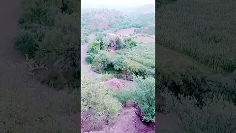 #nature#rumble#filter#yummy#youtube#youtubeshorts