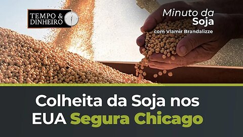 Colheita da Soja nos EUA segura Chicago