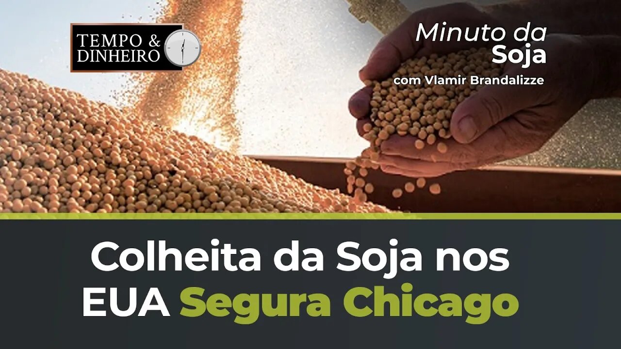 Colheita da Soja nos EUA segura Chicago