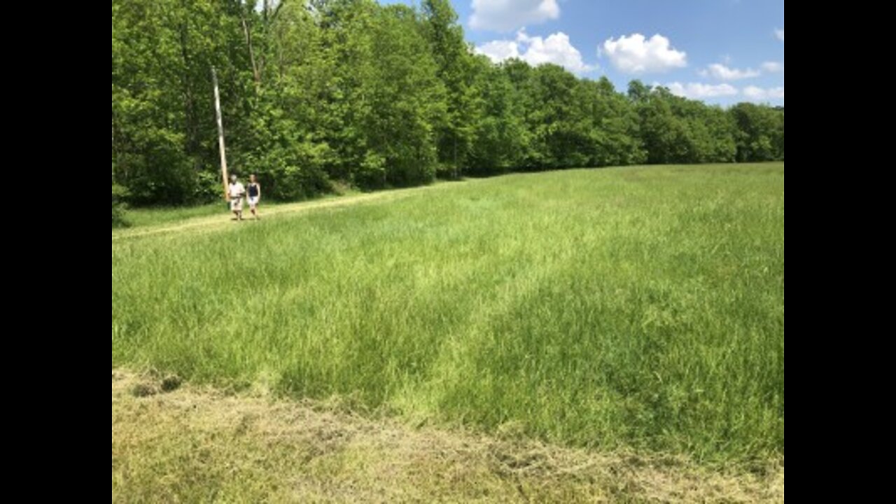 Ohio farmers begin to plan hemp