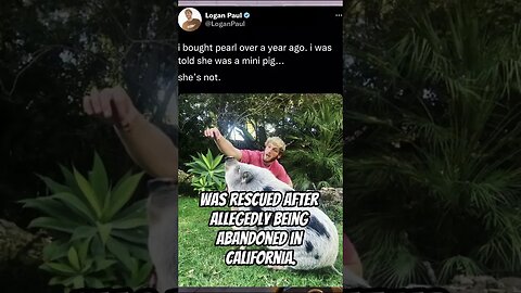 Logan Paul’s pet pig, Pearl, was rescued after allegedly being abandoned in California.