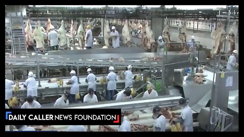 MODERN-DAY SLAVERY? Haitian Migrants Allege Abuse And Being Lured In To Work Under False Pretenses
