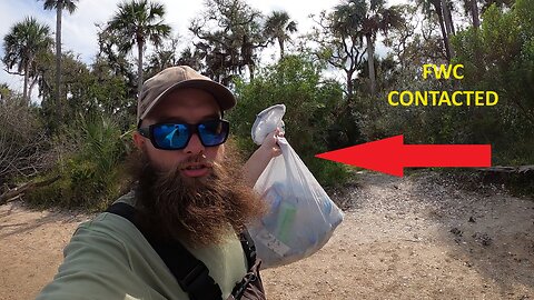 DO BETTER, FLORIDA!! *FWC CONTACTED*