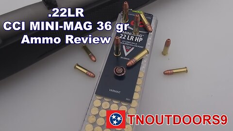 .22LR CCI MINI-MAG 36 gr Ammo Review
