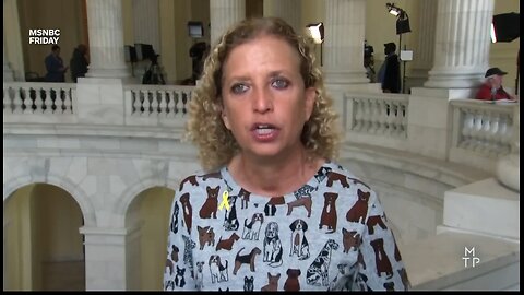 Rep DWS Calls Tulsi Gabbard A Russian Asset