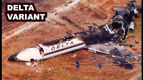 DELTA VARIANT MEMES | MASKS ON A PLANE | Cruise Lines want 2 Yr Olds Vaccinated |