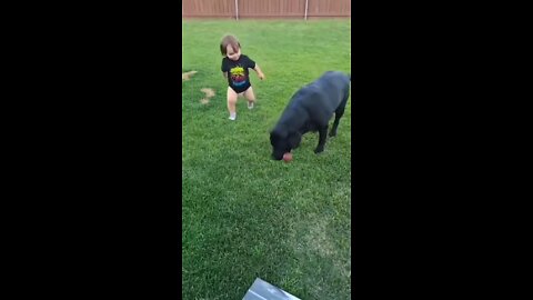 How to surprise your Dog | Enjoy the unbelievable little boys idea | How not to train your Kid
