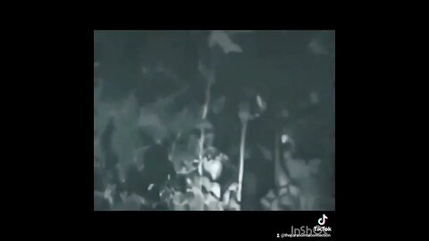 The Alien footage