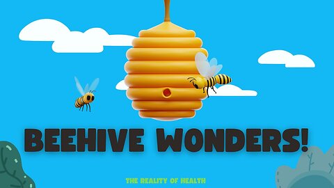 Beehive Wonders!
