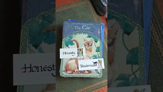 Cancer ♋ Love Reading 15th - 21st Aug 2022 #lovetarot #loveoracle #cancerloveoracle