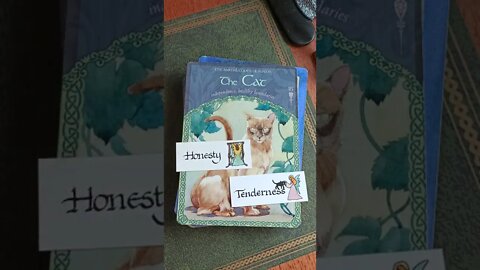Cancer ♋ Love Reading 15th - 21st Aug 2022 #lovetarot #loveoracle #cancerloveoracle