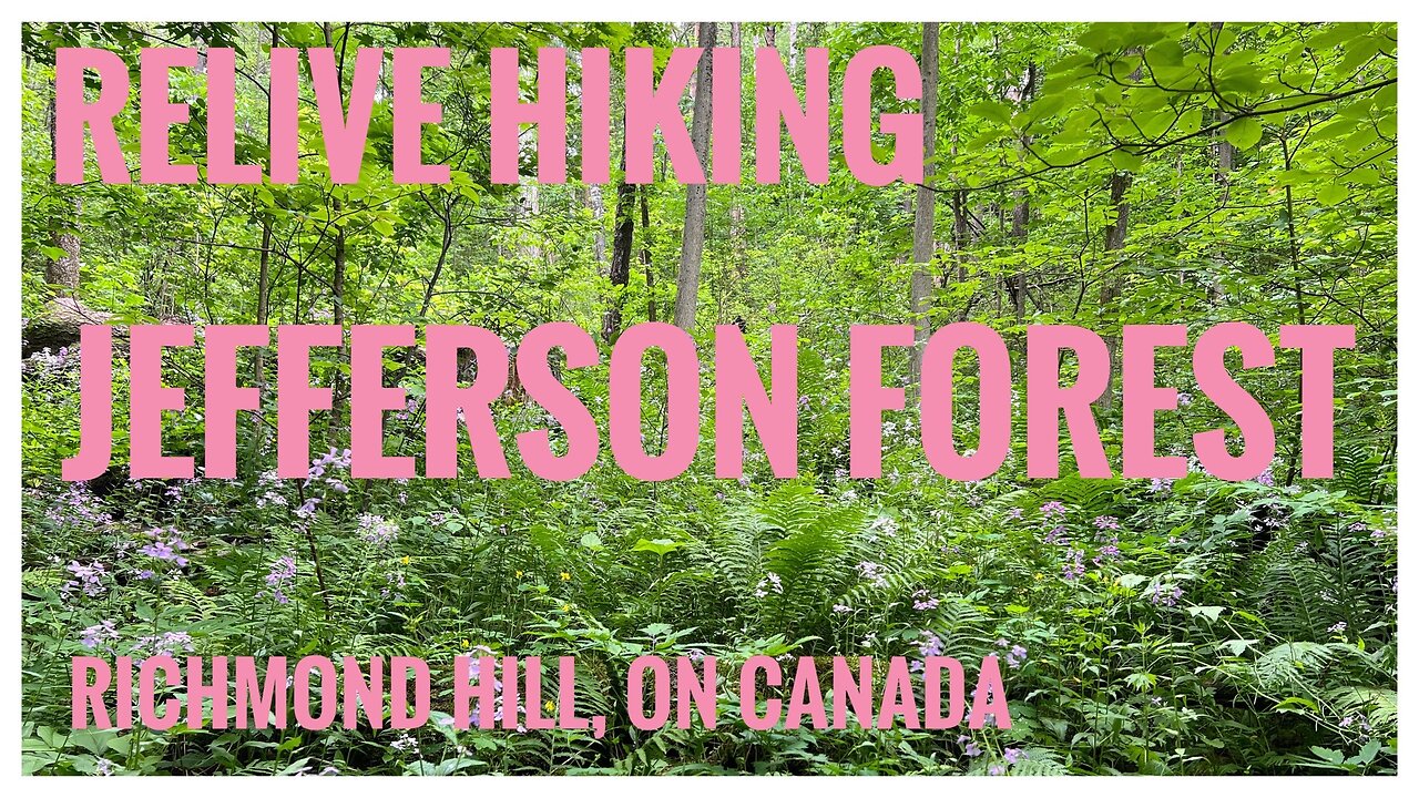 Relive Hiking | Jefferson Forest | Oak Ridges Corridor Conservation Reserve