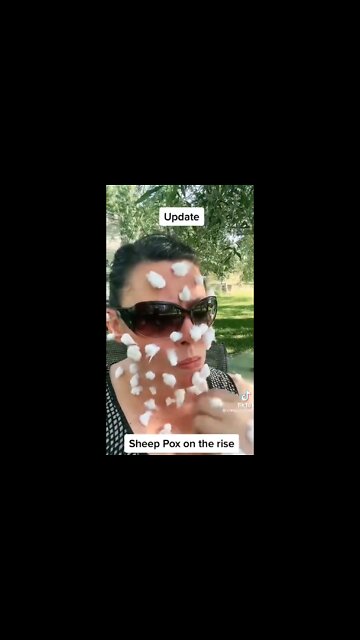 Sheep Pox Spreading Amongst The Democrat Voter Community