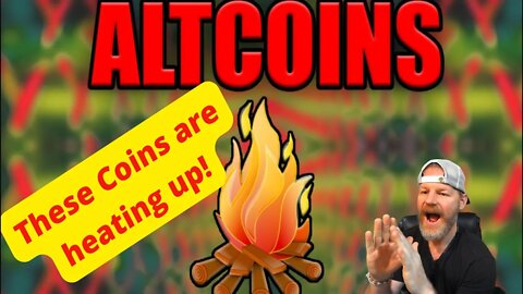 These Altcoins are Heating Up!