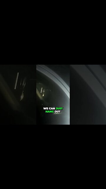 Secret Hangout Spots Breaking Park Rules After Dark