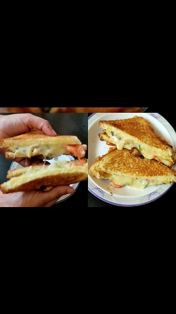 Vegetable cheese sandwich