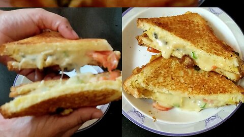Vegetable cheese sandwich