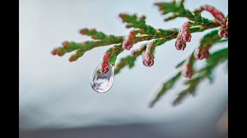 very relaxing rain sound