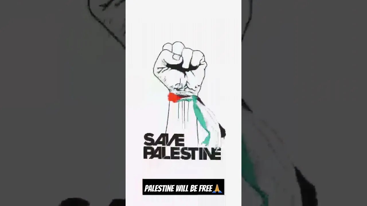 Palestine 💯❤️ #sulemansaeedvlogs #youtube #lahore #vlogs