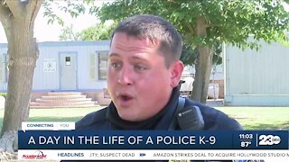 A day in the life of a K-9 and it's handler