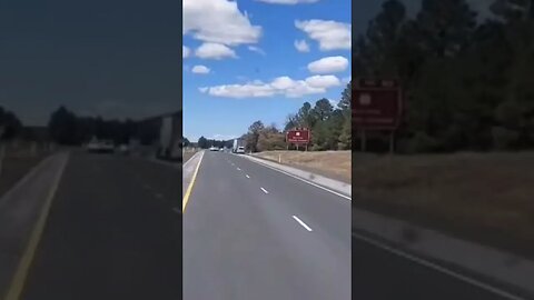 Drive by pullover and birds on the ground