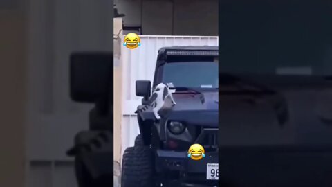 what that #cat#prank#enjoy#funny #tiktok
