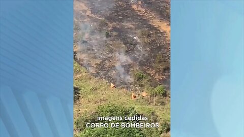 Cel. Fabriciano: Incêndio criminoso destrói cobertura vegetação e ameaça residências.