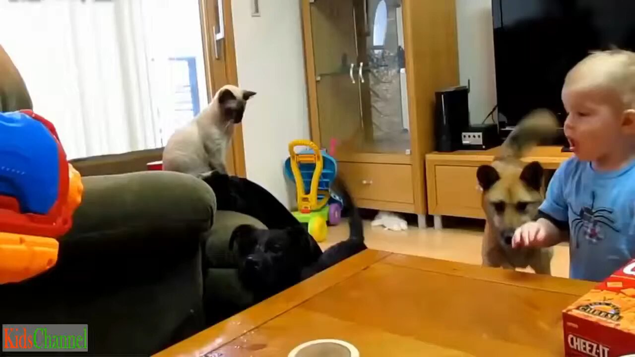 Cute Babies