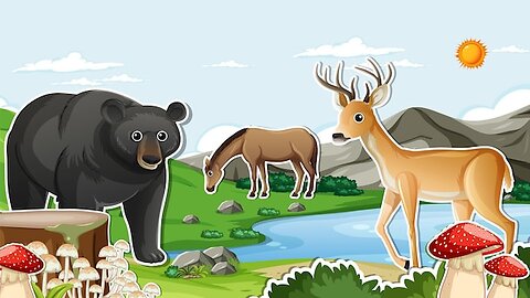 funny animal in world 🤣🤣🤣🤣🤣🤣🤣🤣🤣🤣🤣🤣🤣🤣🤣🤣🤣🤣🤣🤣🤣