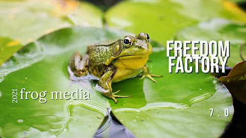 The Freedom Factory Edition 7.0