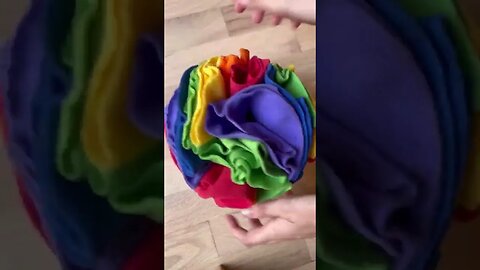 dogs, dogvideos, doglovers, shorts , dogclips, youtubeshorts, petlover 63