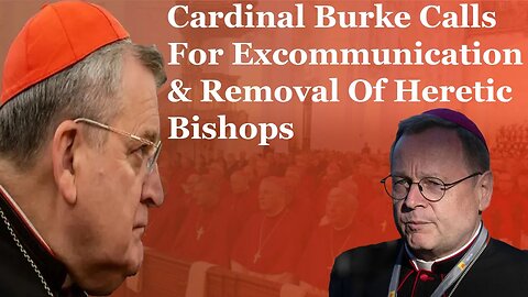 Cardinal Burke Calls For Excommunication & Removal Of Heretic Bishops