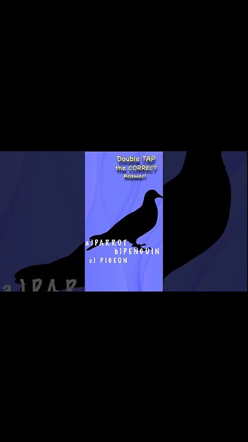 🐦Guess the farm animal shadow game parrot penguin pigeon? quiz Trashmen Bird is the word #shorts