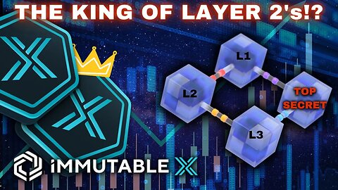 Immutable X To Become The BEST Layer 2 In The Next Bull Run?