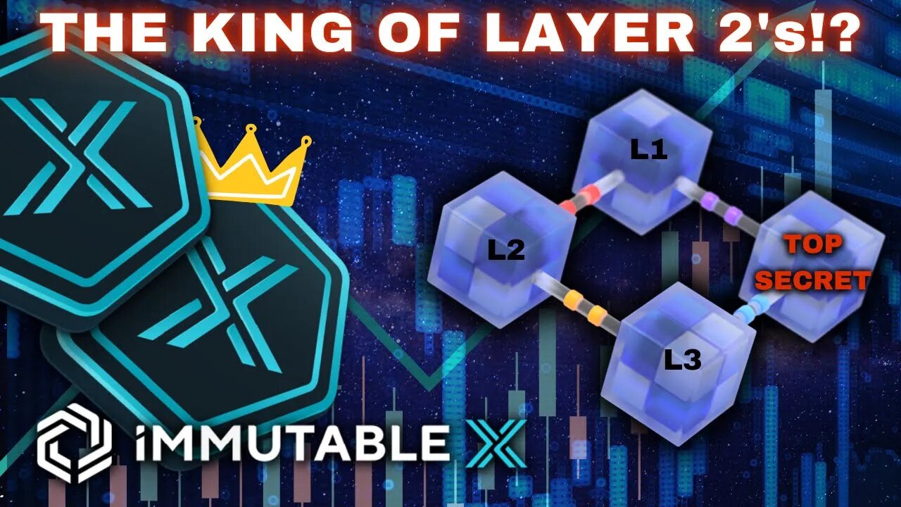 Immutable X To Become The BEST Layer 2 In The Next Bull Run?