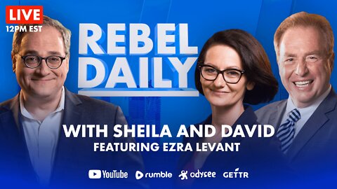 DAILY | Italy's new PM; Roxham Rd. cost half a billion; Alberta RCMP won't enforce gun ban