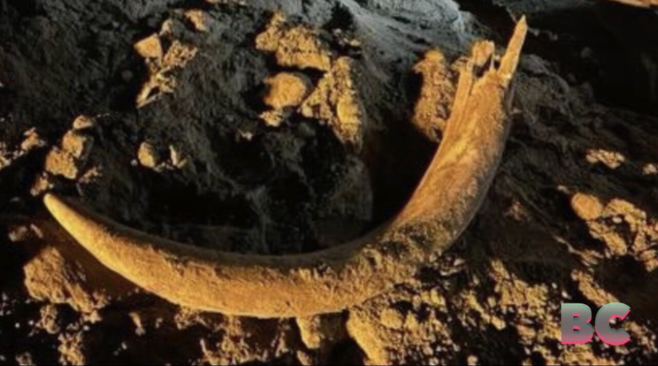 Coal miners lead paleontologists to partial mammoth fossil in North Dakota