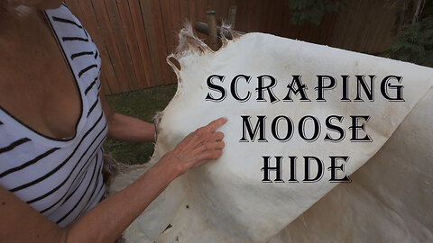 Scraping Moose Hide