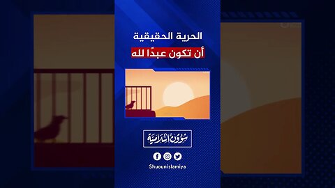 الحرية الحقيقية!