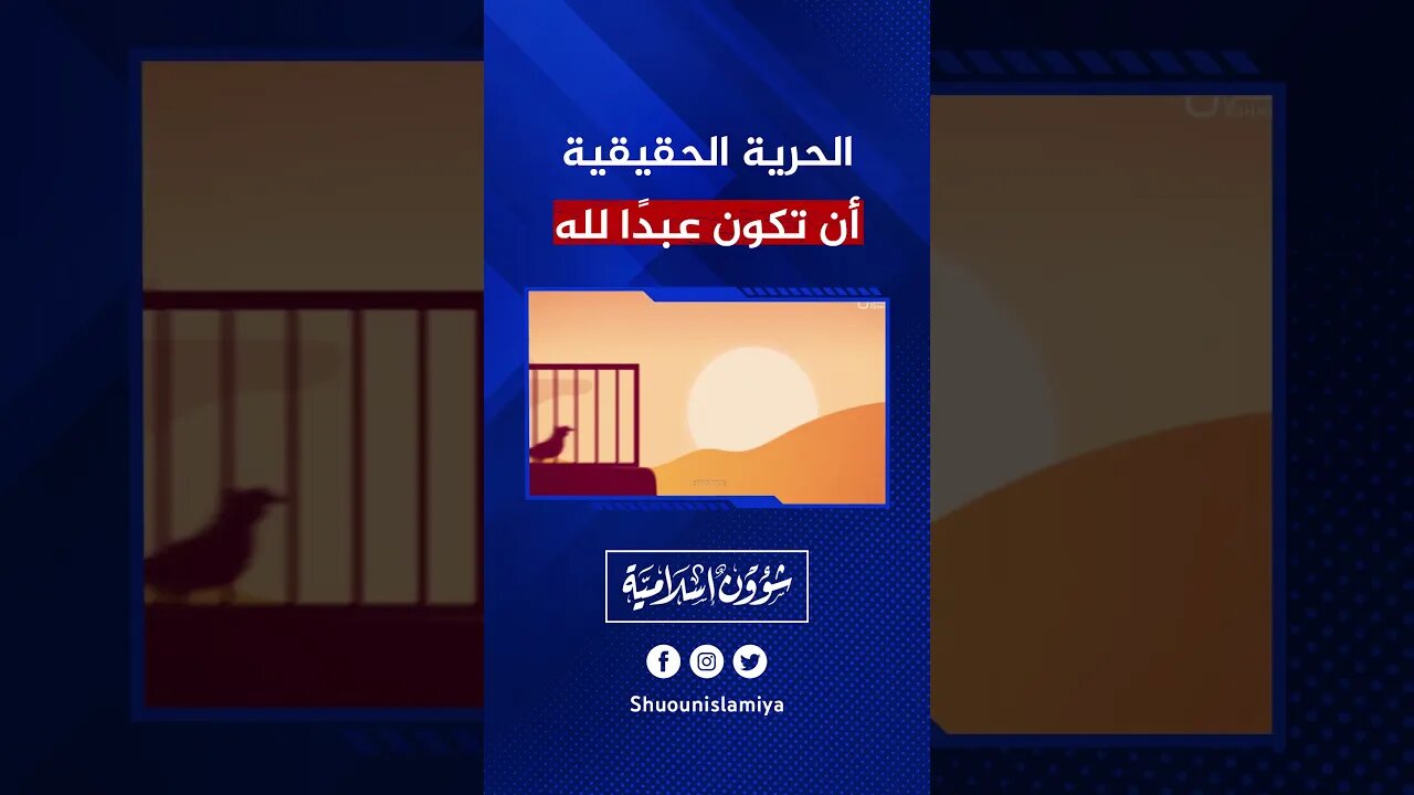 الحرية الحقيقية!