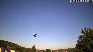 2nd June 2023 (8x speed)