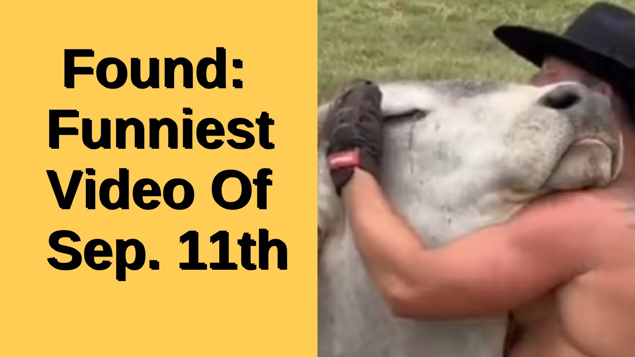 How To Make Women Jealous Of A Steer